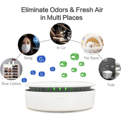 Portable Ozone & Ionic Air Purifier 2 in 1 Eliminate Odor for Home